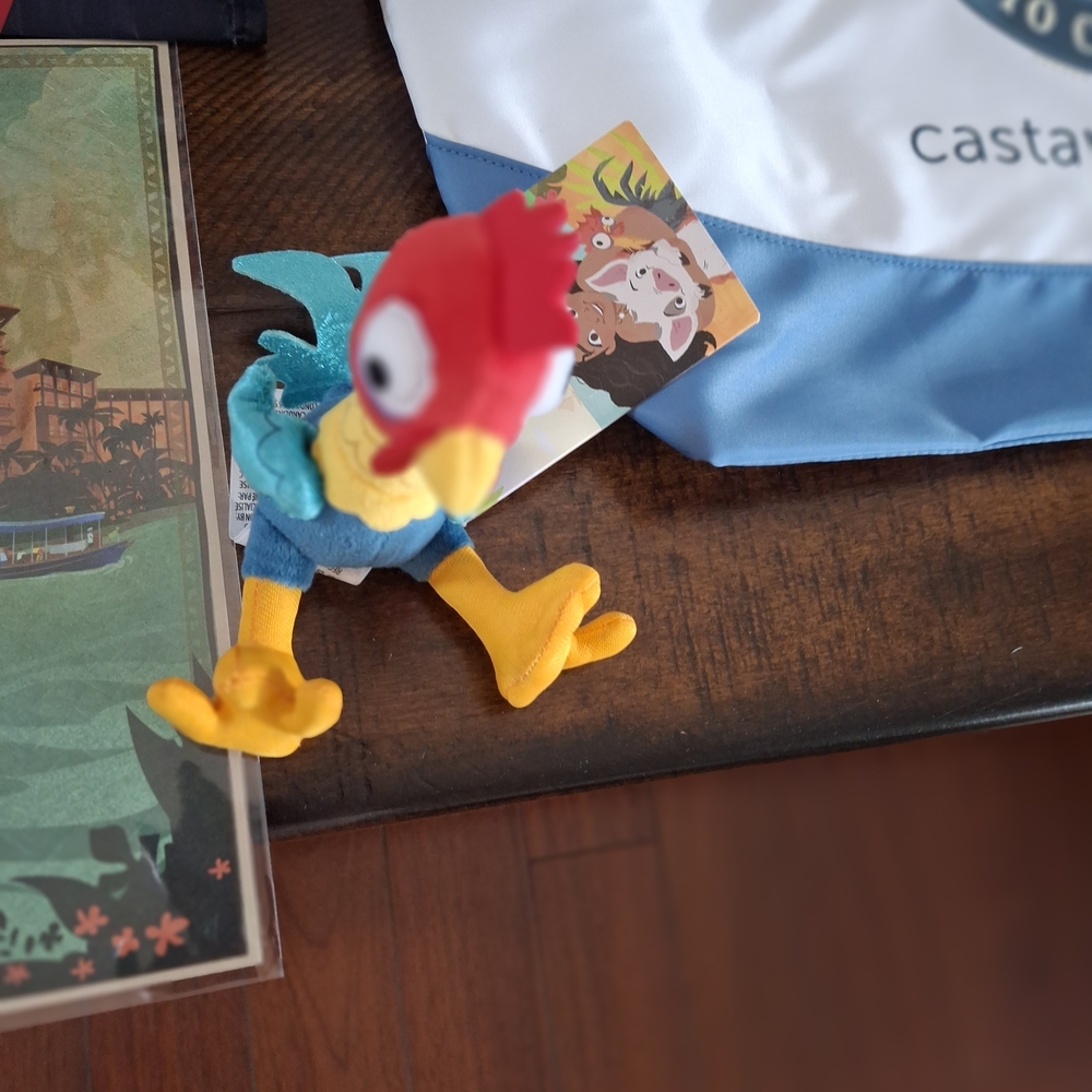Disney Castaway Club Platinum Gift Set + DVC Items - Picture 8 of 11